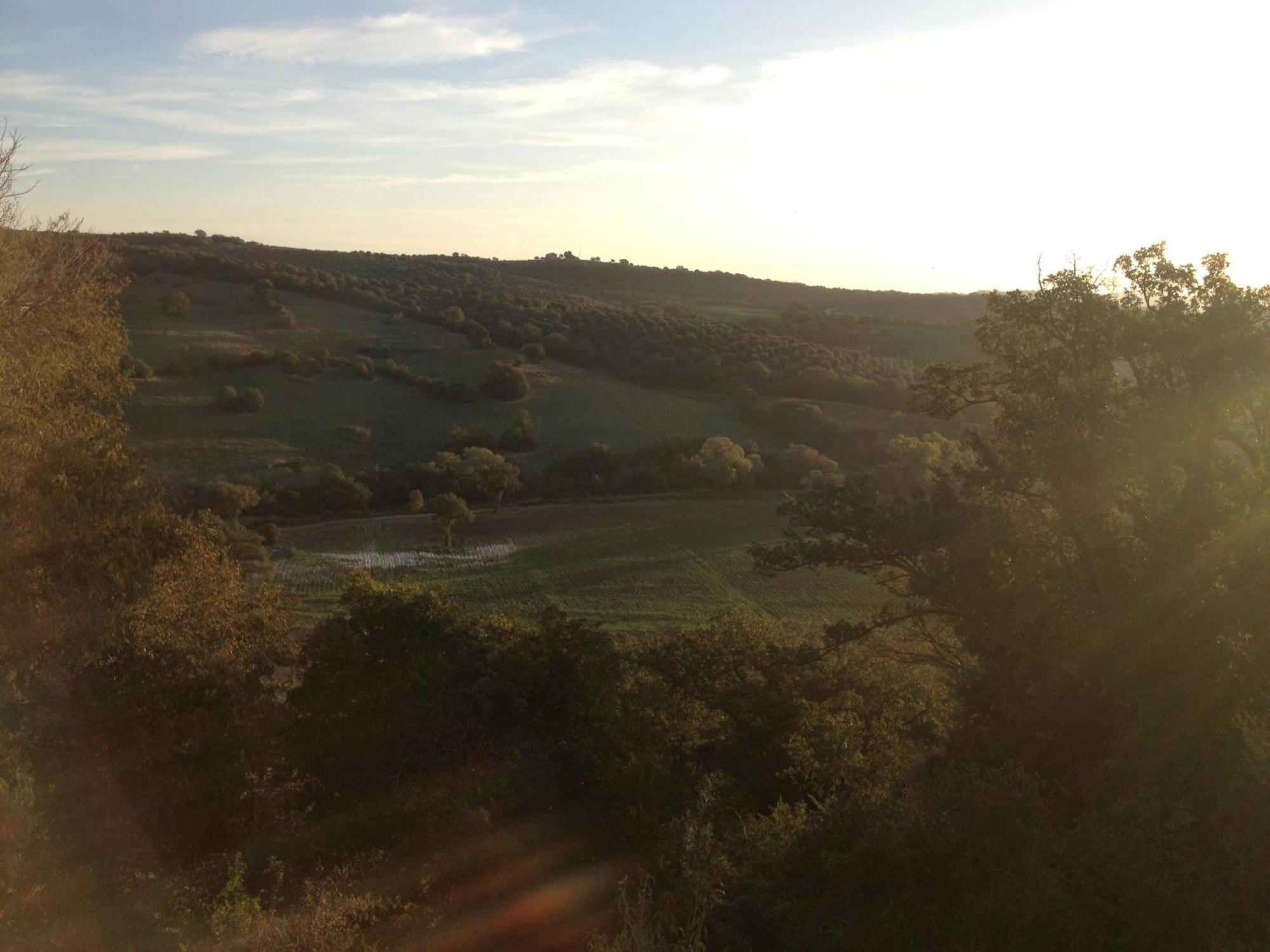 Le Tartarughe Rooms Magliano in Toscana Exterior foto