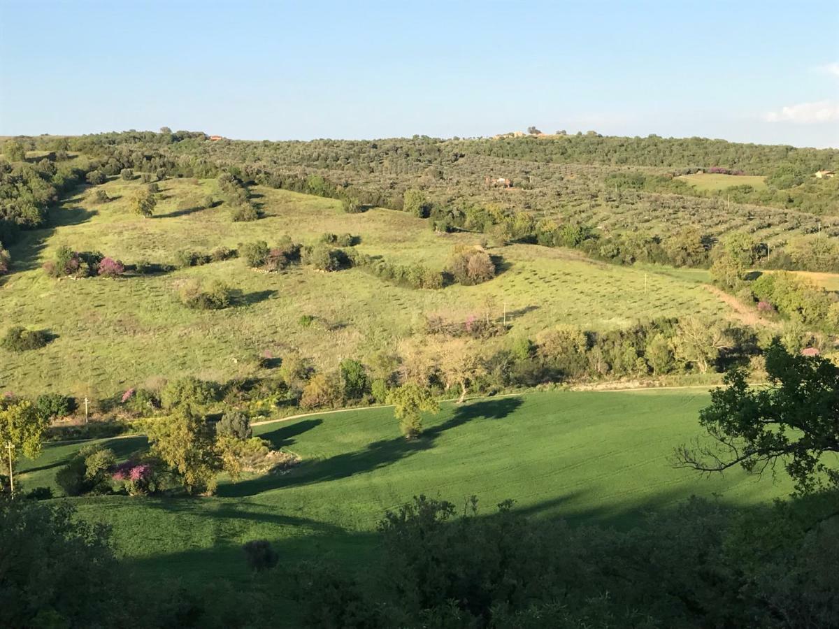 Le Tartarughe Rooms Magliano in Toscana Exterior foto