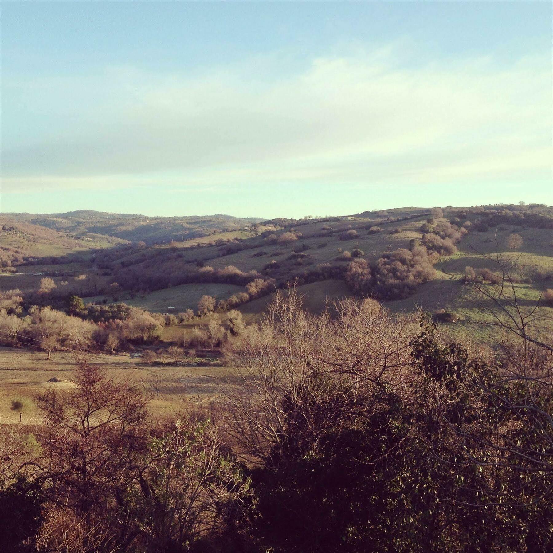 Le Tartarughe Rooms Magliano in Toscana Exterior foto